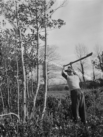 FORESTRY MAN AT WORK